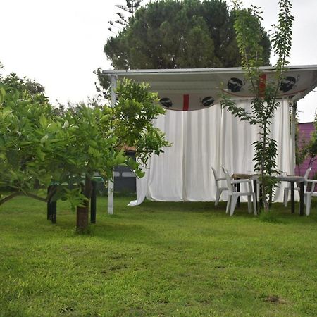 Bed and Breakfast Sa Mariposa Муравера Екстер'єр фото